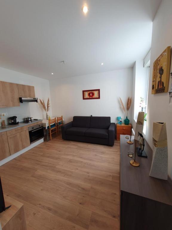 Appart'Hotel, Ikimo 5 Appartements Entiers A Votre Disposition Au Choix Nancy Dış mekan fotoğraf