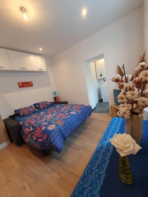 Appart'Hotel, Ikimo 5 Appartements Entiers A Votre Disposition Au Choix Nancy Dış mekan fotoğraf
